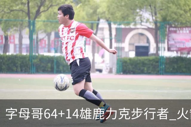 字母哥64+14雄鹿力克步行者 火箭擒灰熊4连胜